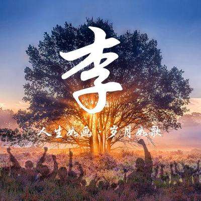 一刀神谕手游下载