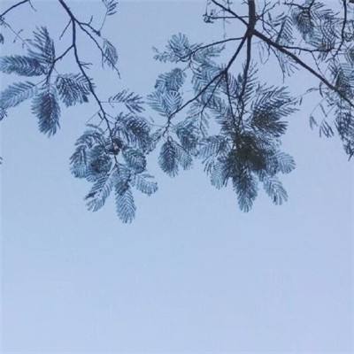 烈焰屠龙斩官方下载