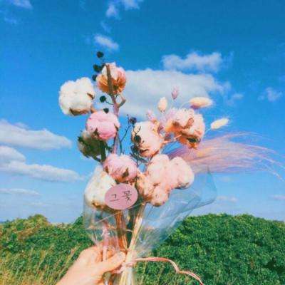 节奏专家破解版下载