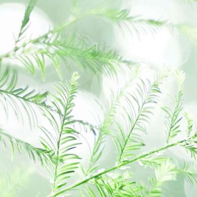 手提包挑战手游下载