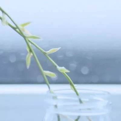 群英会变态版游戏下载