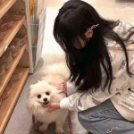 全民自行车手机版下载
